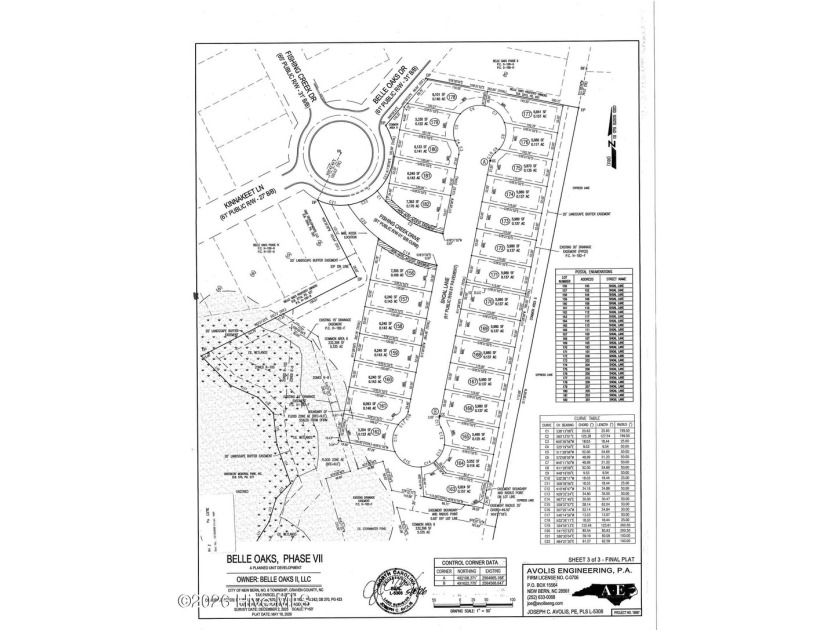 Welcome to your new dream home to be constructed at 104 Shoal - photo 3