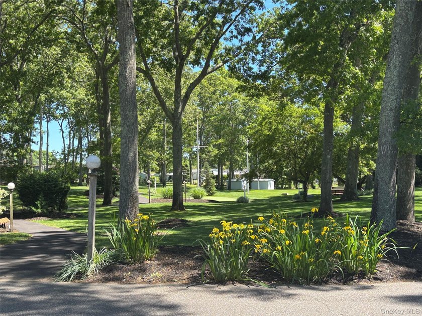 Welcome to 351B Pondwood, Located in Glenwood Village, A well - photo 37