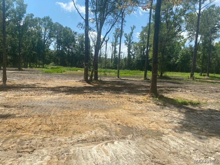 Hurry Don't Let This One Get Away!!! Magnificent 17.217 acres - photo 4