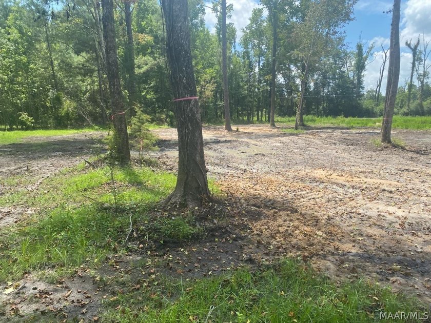 Hurry Don't Let This One Get Away!!! Magnificent 17.217 acres - photo 6