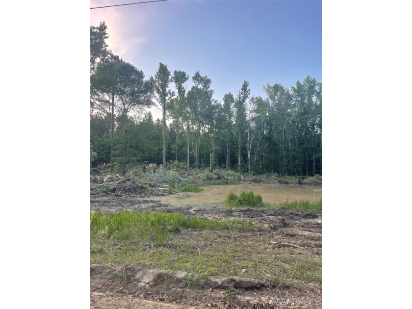 Hurry Don't Let This One Get Away!!! Magnificent 17.217 acres - photo 10