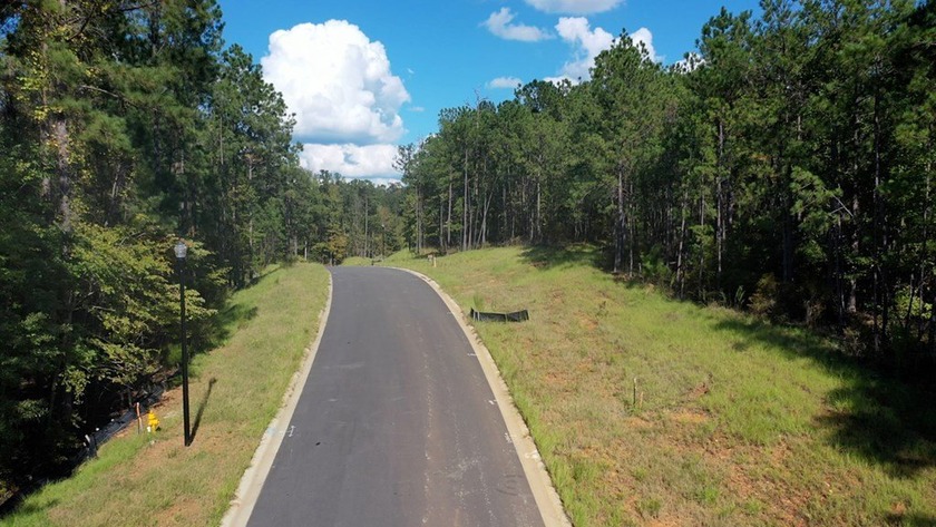 Build Your Dream in Creekrise! This is a rare opportunity for - photo 5