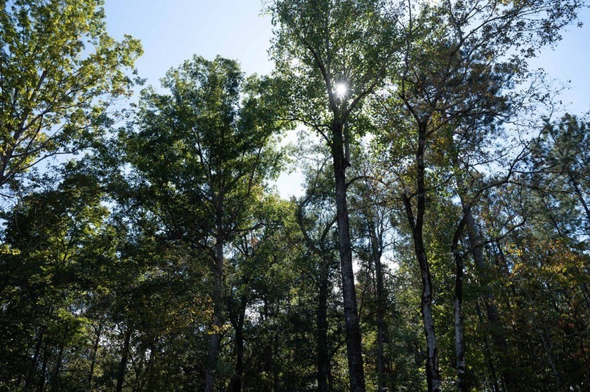 Build Your Dream in Creekrise! This is a rare opportunity for - photo 6