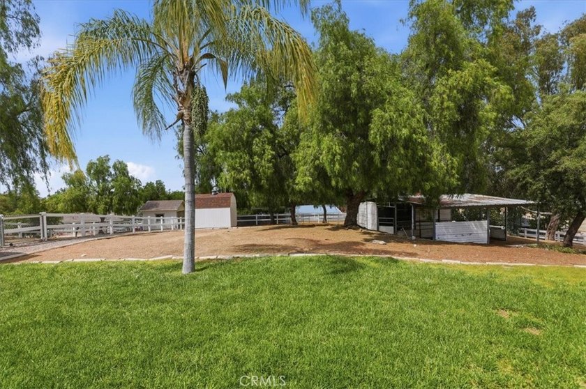 If you've been searching for a beautifully upgraded horse - photo 29