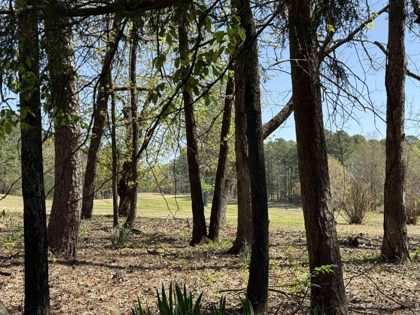 CUSTOM GOLF COURSE HOME on 2 replatted lots, on Indian Hills - photo 50