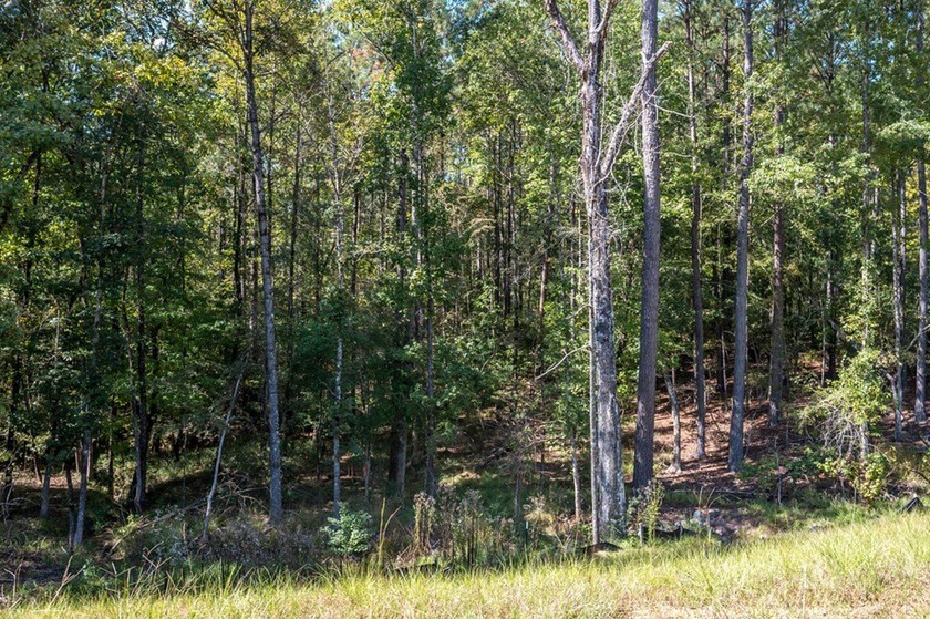 Build Your Dream in Creekrise! This is a rare opportunity for - photo 8