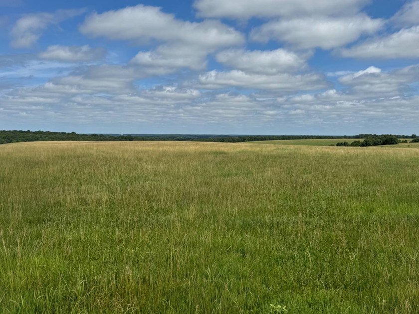 The Davis Ranch is a 401+/--acre cattle ranch that offers a - photo 4