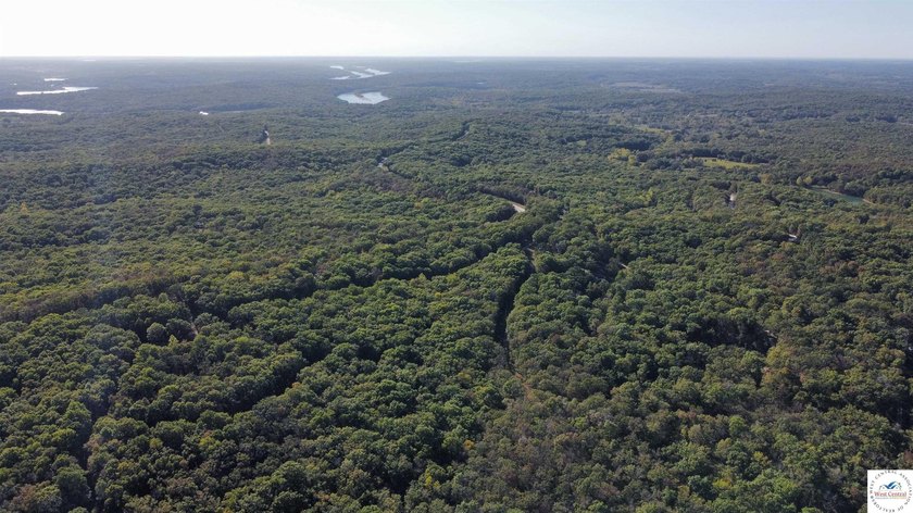 The property featured 80 +/- acres with more available for - photo 18