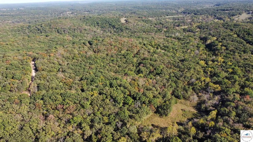 The property featured 80 +/- acres with more available for - photo 19