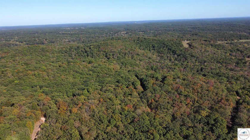 The property featured 80 +/- acres with more available for - photo 20