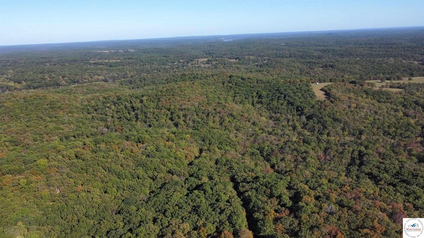The property featured 80 +/- acres with more available for - photo 21