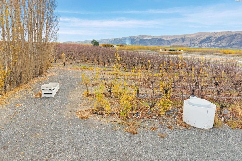 MLS# 289021 Rare opportunity to own 51.41 acres of highly - photo 10