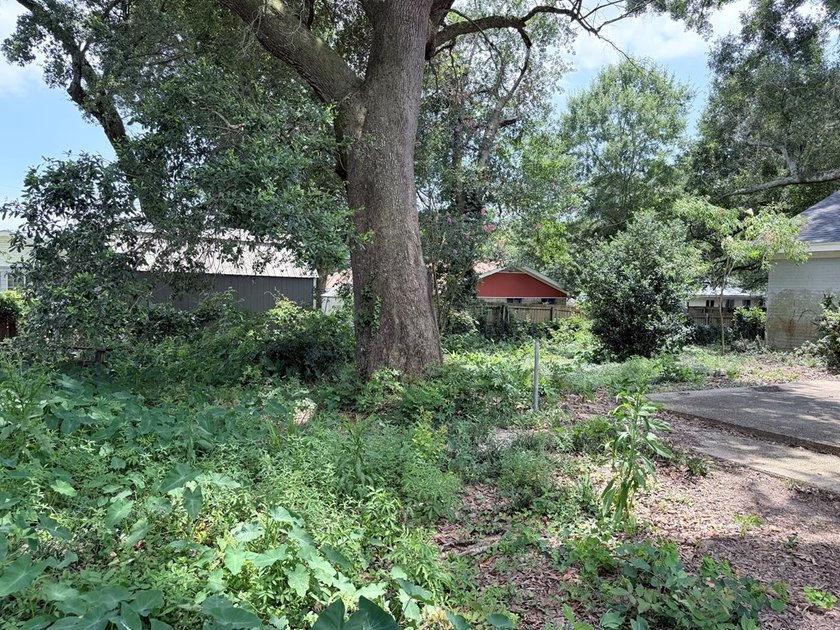 Great Location! BRAND NEW ROOF! Close to schools, shopping, and - photo 5