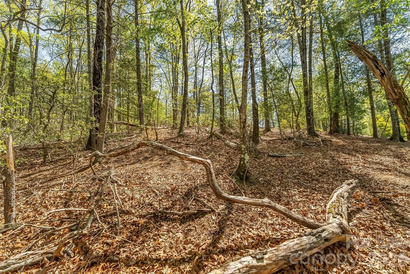 Gently sloping interior lot with winter and possible year round - photo 11