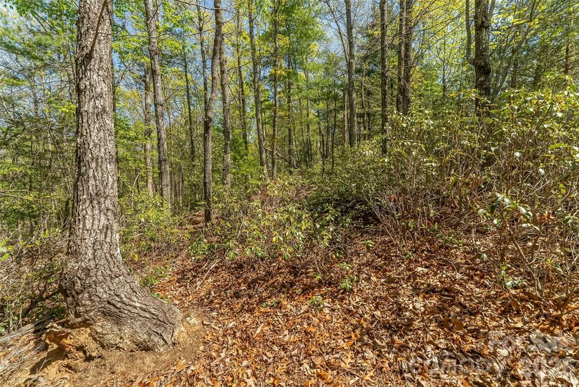Gently sloping interior lot with winter and possible year round - photo 13