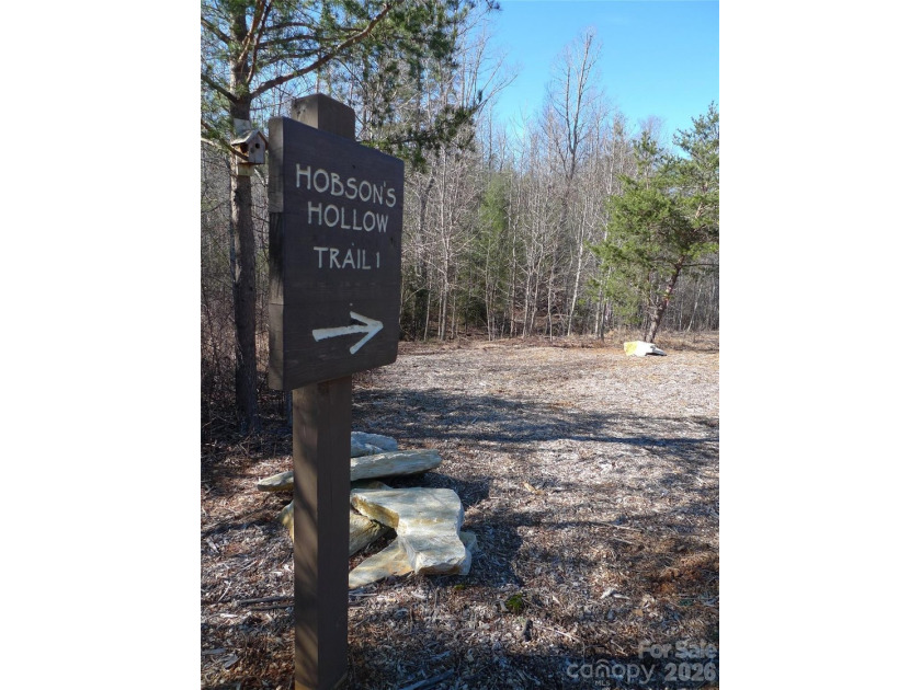 Gently sloping interior lot with winter and possible year round - photo 17