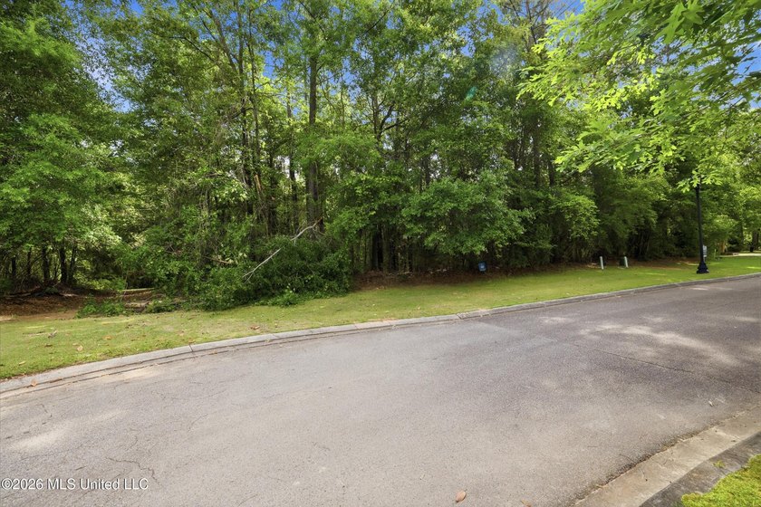 Wow-what an incredible opportunity to live in a true TND - photo 19