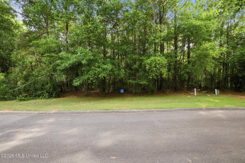 Wow-what an incredible opportunity to live in a true TND - photo 20