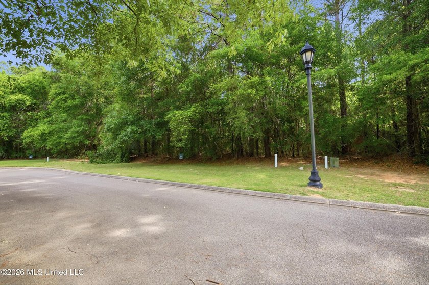 Wow-what an incredible opportunity to live in a true TND - photo 21