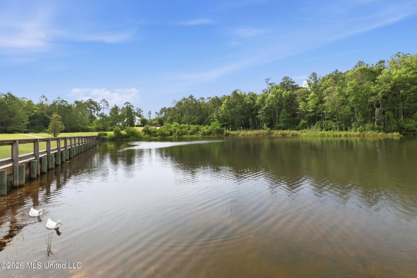 Wow-what an incredible opportunity to live in a true TND - photo 23