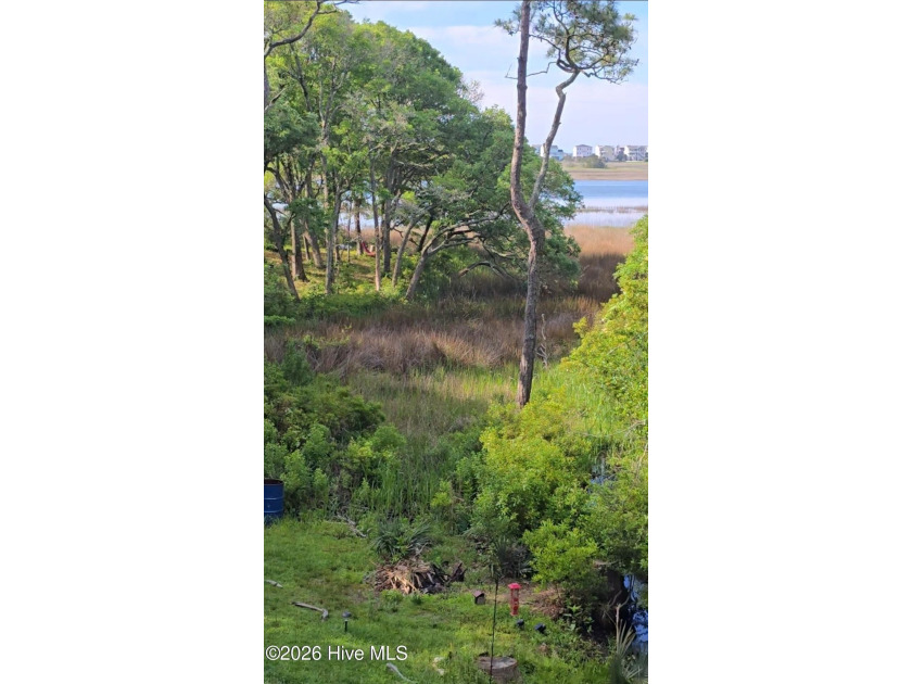 Private Waterfront Estate ! Must see to believe - photo 11