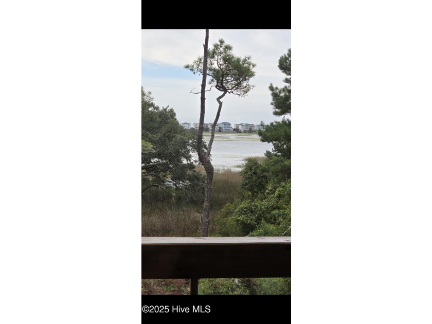 Private Waterfront Estate ! Must see to believe - photo 41