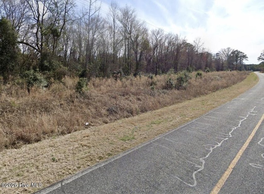 Discover approximately 20 beautiful wooded acres on Bull Tail - photo 3