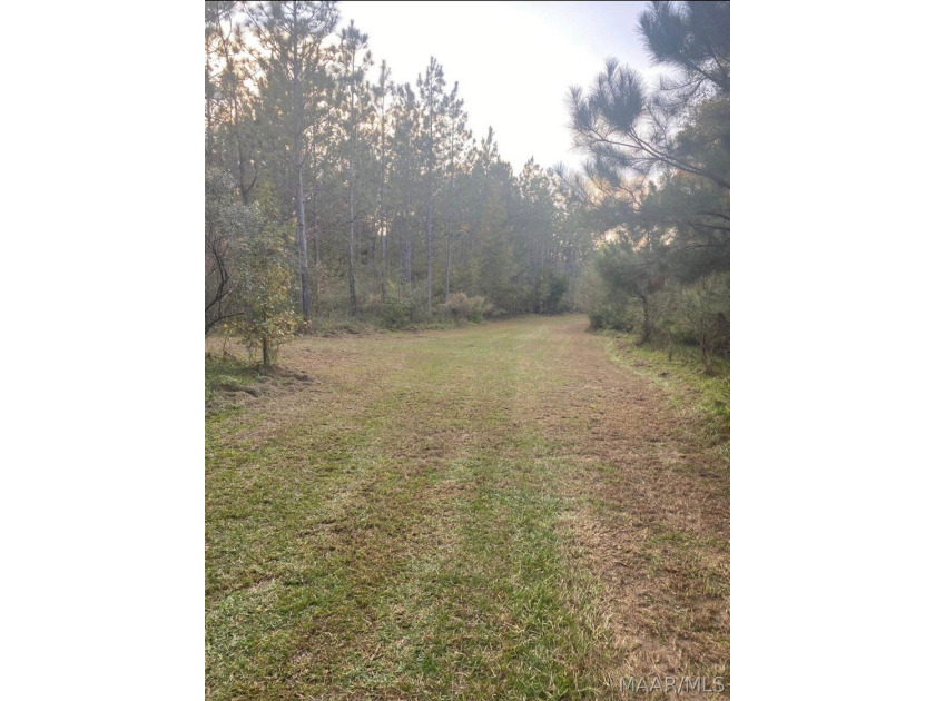 Hurry Don't Let This One Get Away!!! Magnificent 17.217 acres - photo 22