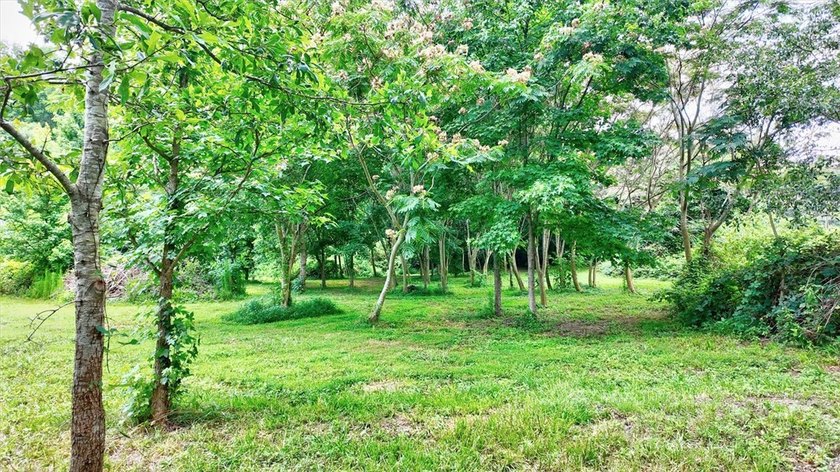 Come check out this 3.2 acres of land that is approximately 5 - photo 4