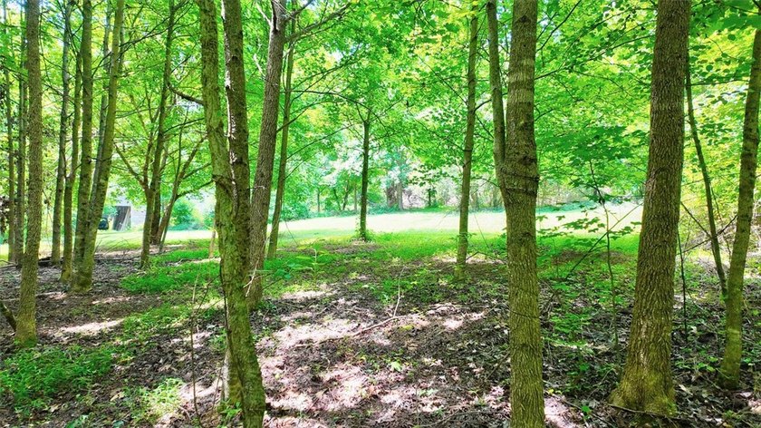 Come check out this 3.2 acres of land that is approximately 5 - photo 8