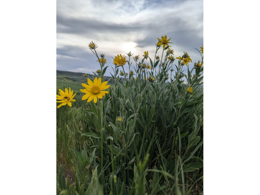 160 sprawling acres of high yielding irrigated farm ground near - photo 11