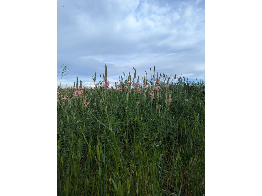 160 sprawling acres of high yielding irrigated farm ground near - photo 14