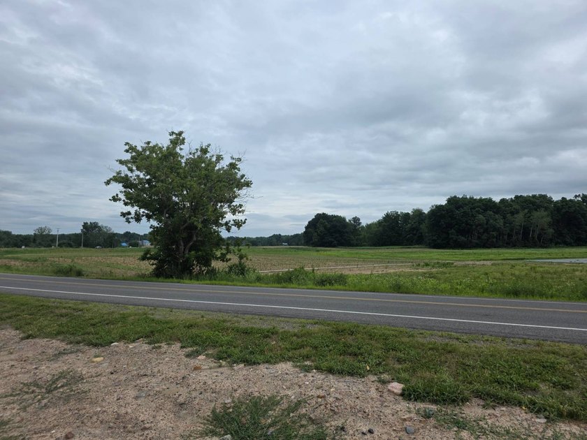 Prime Commercial Opportunity with Additional Development Parcel - photo 4
