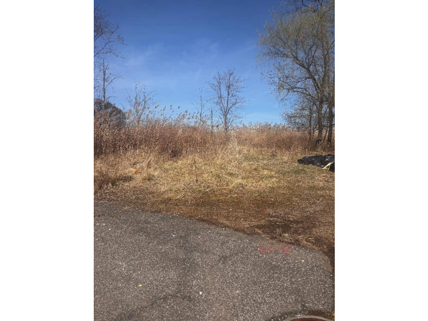 Build your dream home or invest in one of Staten Island's most - photo 3