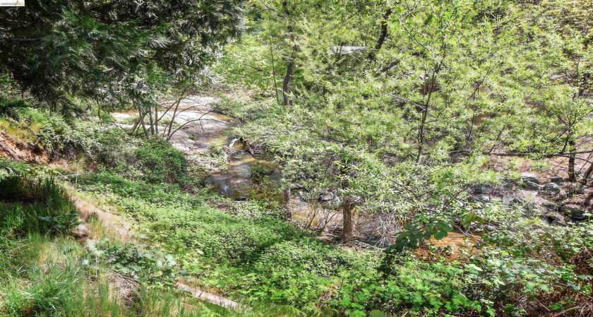 ON SULLIVAN CREEK! Nestled in the desirable Phoenix Lake Country - photo 33