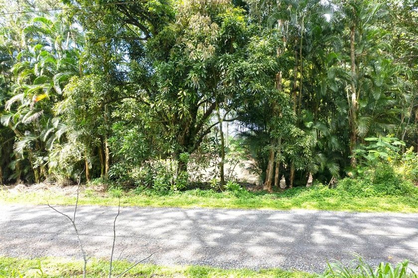 Tucked away on a dead-end street and located just 11 blocks from - photo 3