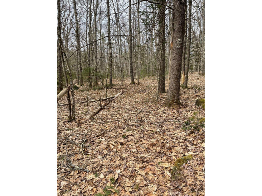 Lot 15a Back Road, Shapleigh, ME 04076, 4935706