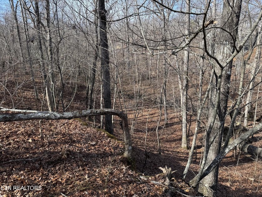 This is approx. 1 acre property located on Crystal Pt cut-de-sac - photo 2
