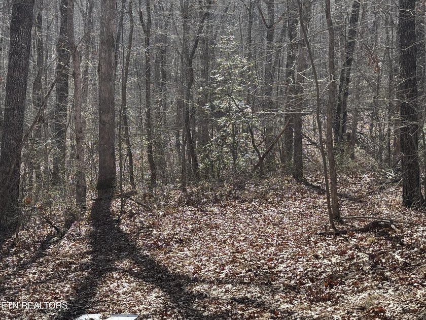 This is approx. 1 acre property located on Crystal Pt cut-de-sac - photo 4