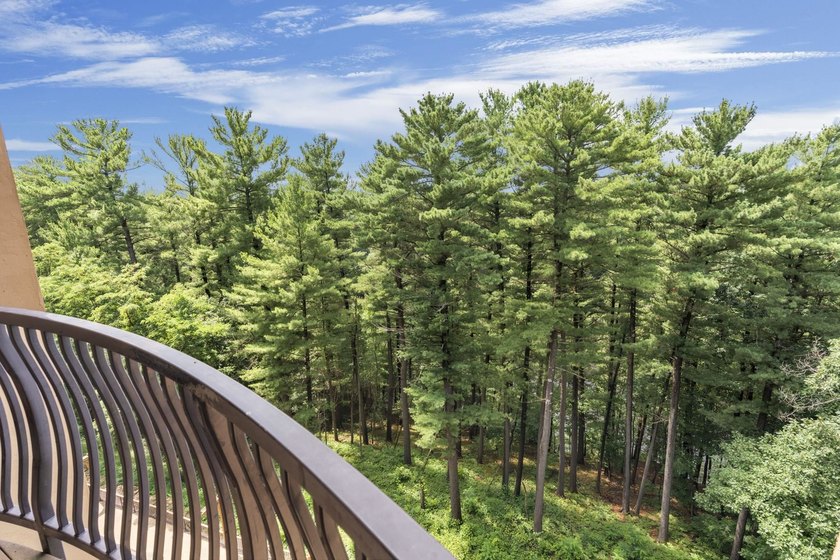 Space, views and the ability to make the property your own - photo 39
