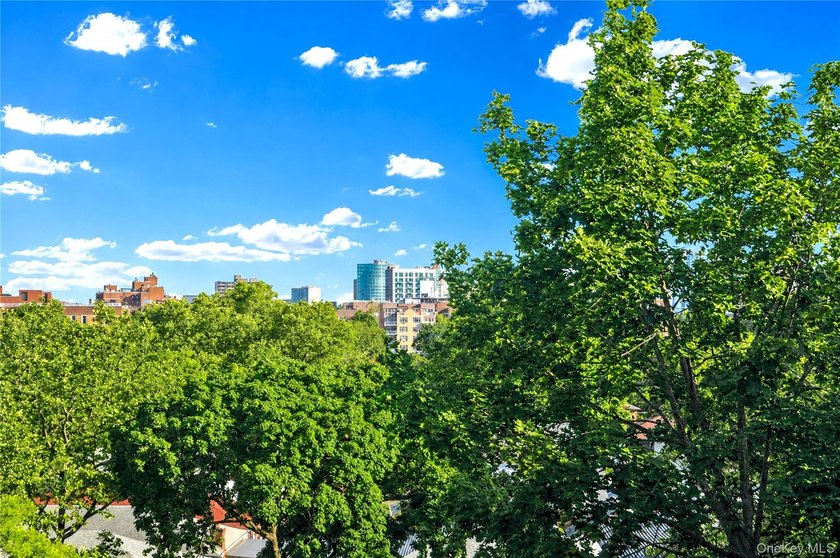 A rare opportunity to own a sun-filled, move-in-ready home in - photo 27