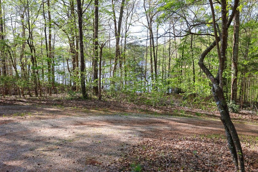 Lake Gerald Properties Online Auction - Tract 2 This Online - photo 5