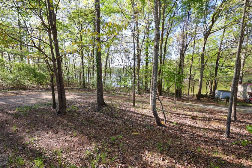 Lake Gerald Properties Online Auction - Tract 2 This Online - photo 7