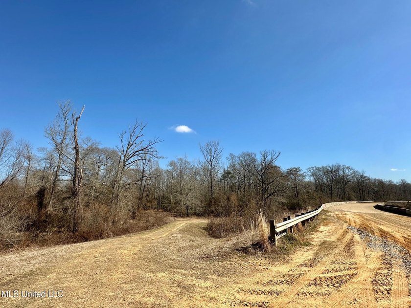+/- 625 acre hardwood timber river bottom hunting tract in - photo 14
