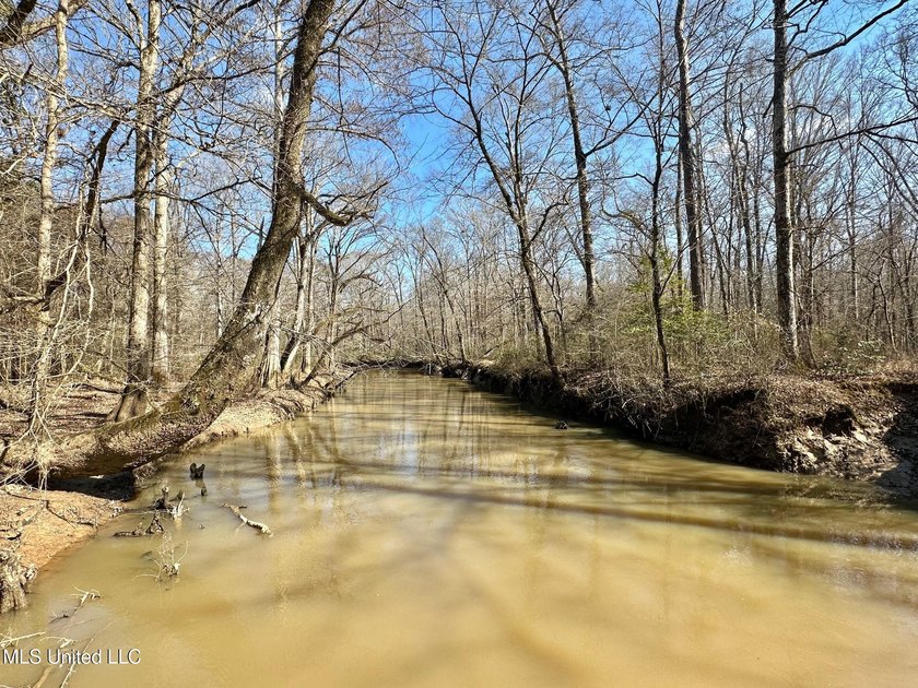 +/- 625 acre hardwood timber river bottom hunting tract in - photo 20