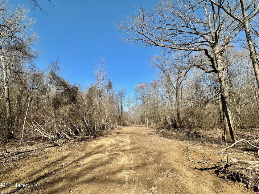 +/- 625 acre hardwood timber river bottom hunting tract in - photo 21
