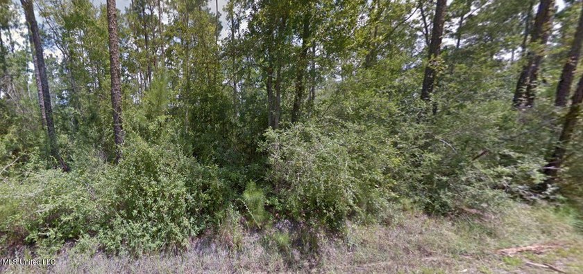 Flat lot 200 feet deep and goes from Seventh st to Sixth street - photo 2
