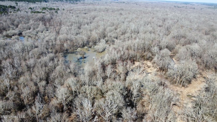 +/- 625 acre hardwood timber river bottom hunting tract in - photo 26