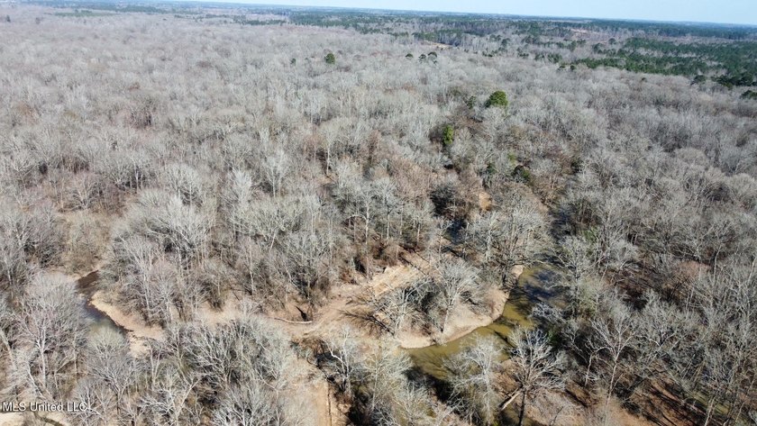 +/- 625 acre hardwood timber river bottom hunting tract in - photo 27