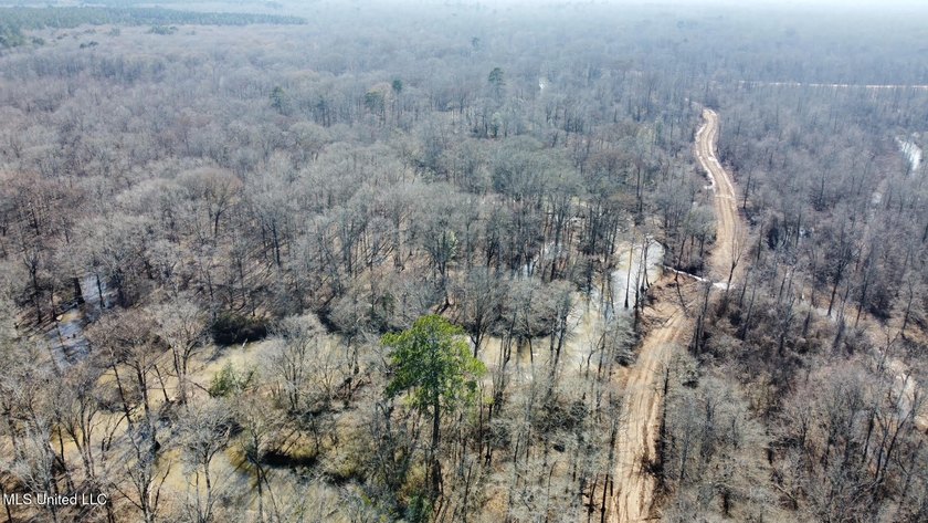 +/- 625 acre hardwood timber river bottom hunting tract in - photo 29